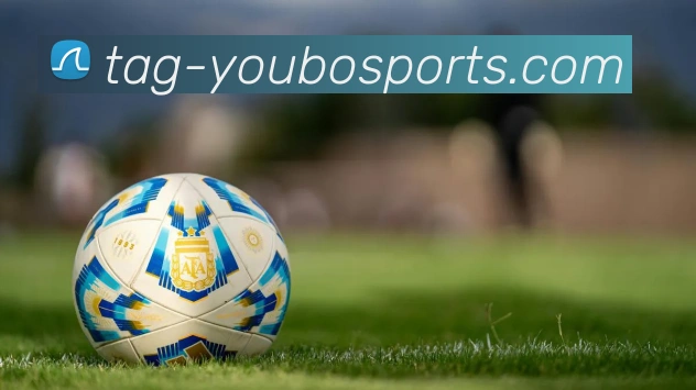 友博体育APP 体育赛事宣传图